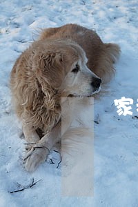 論國家考試決定之司法審查 論國家考試決定之司法審查