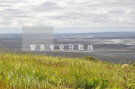 警务专业分数线 警务专业分数线