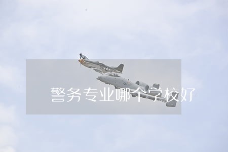 警务专业哪个学校好 警务专业哪个学校好
