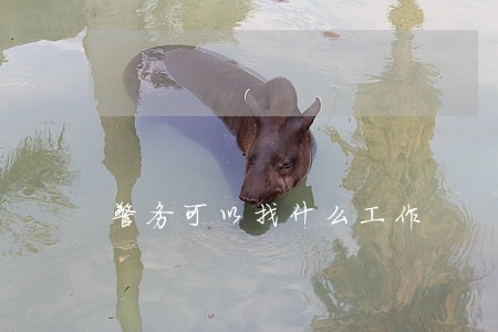 警务可以找什么工作 警务可以找什么工作