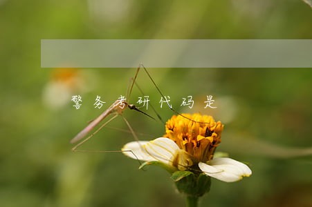 警务考研代码是 警务考研代码是