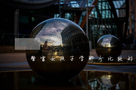 警官女孩子学那个比较好 警官女孩子学那个比较好