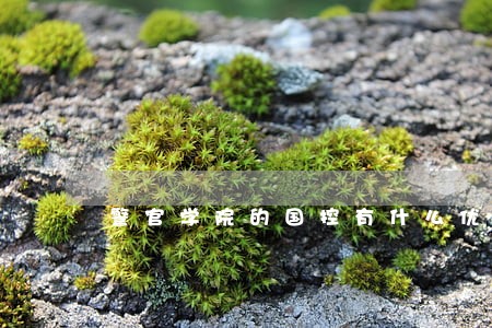 警官学院的国控有什么优势 警官学院的国控有什么优势
