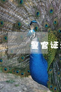 警官证没用