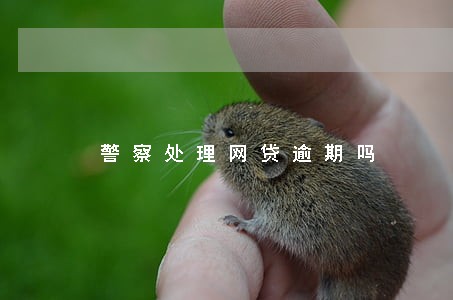 警察处理网贷逾期吗 警察处理网贷逾期吗