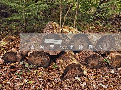 警察来找律师询问
