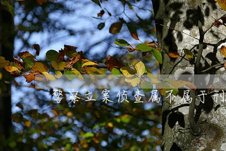 警察立案侦查属不属于刑事诉讼中 警察立案侦查属不属于刑事诉讼中