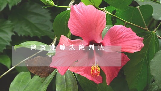 警察让等法院判决