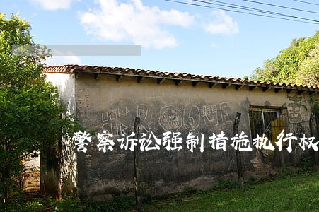警察诉讼强制措施执行权