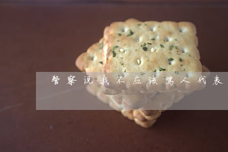 警察说我不应该骂人代表违法吗 警察说我不应该骂人代表违法吗