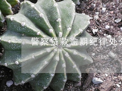 警察贷款逾期纪律处分 警察贷款逾期纪律处分