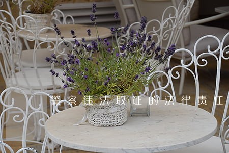 警察违法取证的法律责任 警察违法取证的法律责任