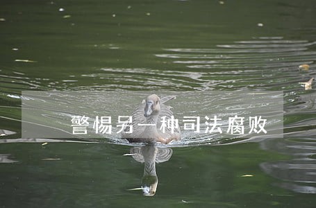 警惕另一种司法腐败