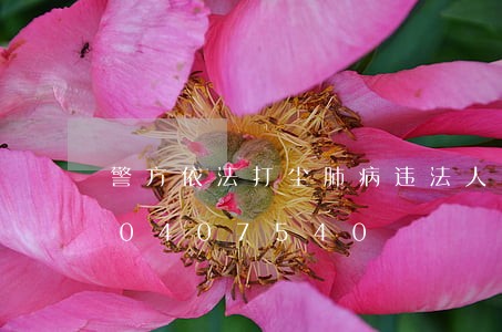 警方依法打尘肺病违法人员/2023020407540 警方依法打尘肺病违法人员/2023020407540
