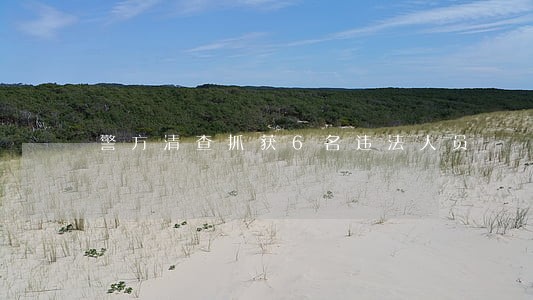 警方清查抓获6名违法人员 警方清查抓获6名违法人员