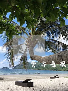 警方通报涉嫌网贷逾期 警方通报涉嫌网贷逾期