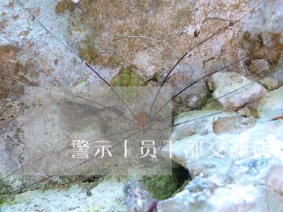 警示丨员干部交通违法