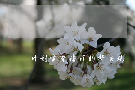 计划生育修订的新法规 计划生育修订的新法规