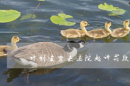 计划生育去法院起诉罚款 计划生育去法院起诉罚款