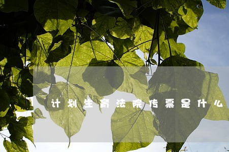 计划生育法院传票是什么样子的 计划生育法院传票是什么样子的