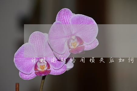 计提逾期信用损失后如何处理 计提逾期信用损失后如何处理
