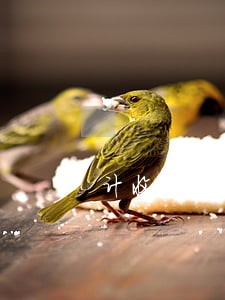 计收逾期贷款利率