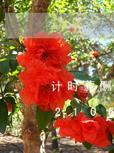 计时薪酬支付是否违反劳动法/2023021066278 计时薪酬支付是否违反劳动法/2023021066278