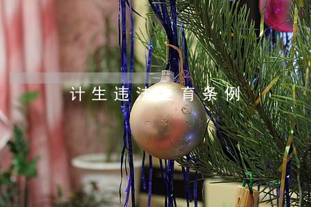 计生违法生育条例 计生违法生育条例