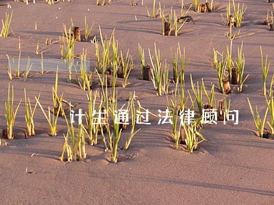 计生通过法律顾问