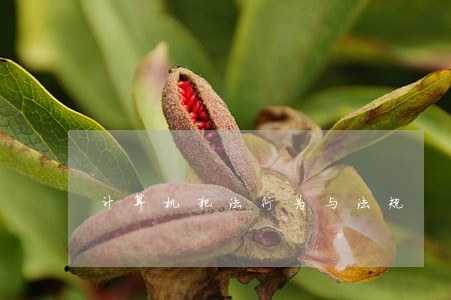 计算机犯法行为与法规 计算机犯法行为与法规