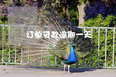 订单贷款逾期一天
