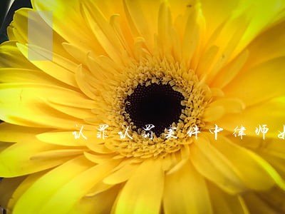 认罪认罚案件中律师如何质证 认罪认罚案件中律师如何质证