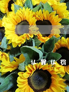 认罪认罚还有法律援助吗 认罪认罚还有法律援助吗