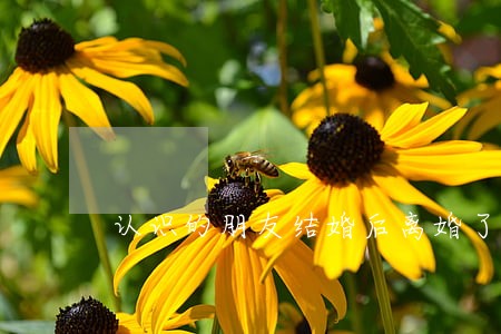 认识的朋友结婚后离婚了 认识的朋友结婚后离婚了