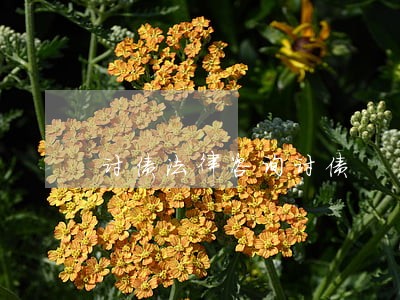 讨债法律咨询讨债 讨债法律咨询讨债