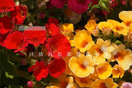 讨债诉讼需要律师不 讨债诉讼需要律师不