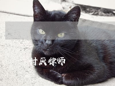 讨厌律师 讨厌律师