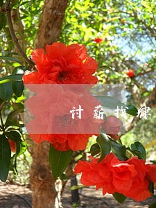 讨薪找律师要多少钱 讨薪找律师要多少钱
