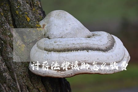 讨薪法律援助怎么收费 讨薪法律援助怎么收费