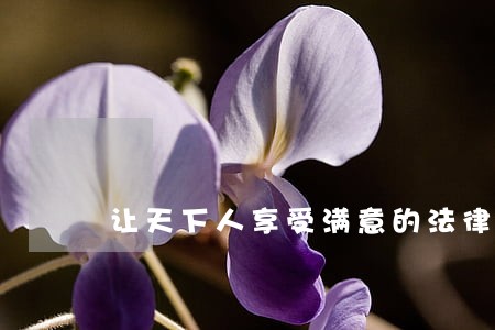 让天下人享受满意的法律服务