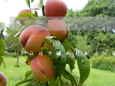 让对方将钱打到法院账户 让对方将钱打到法院账户