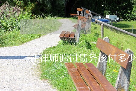 让律师追讨债务该付多少钱的