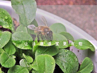 让法律课堂更有趣 让法律课堂更有趣