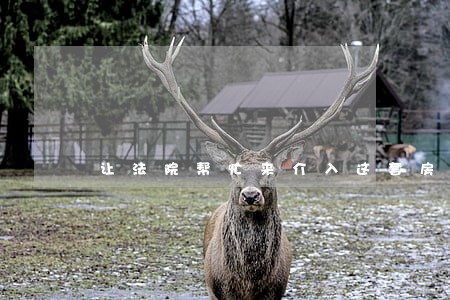 让法院帮忙来介入这套房子 让法院帮忙来介入这套房子