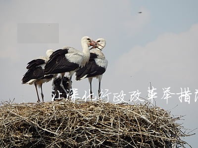 让深化行政改革举措落地生根