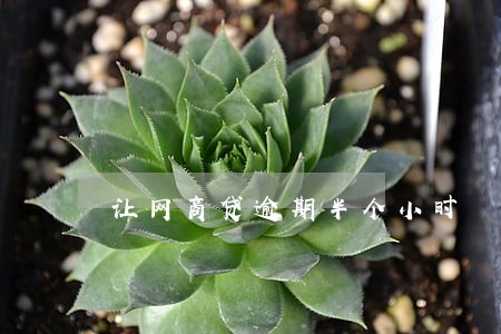 让网商贷逾期半个小时 让网商贷逾期半个小时