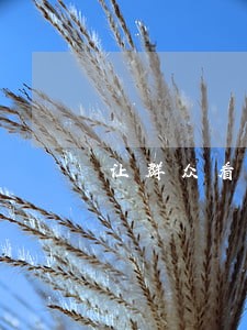 让群众看到司法 让群众看到司法