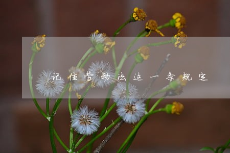 记住劳动法这一条规定 记住劳动法这一条规定