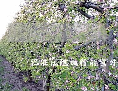 记在法院执行的案件怎么撒诉 记在法院执行的案件怎么撒诉