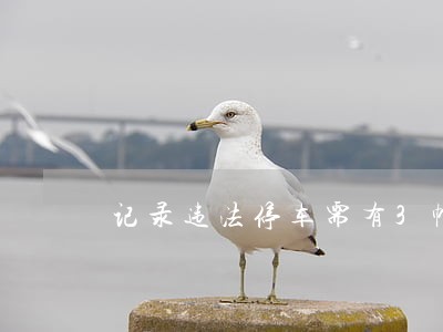 记录违法停车需有3幅图像 记录违法停车需有3幅图像
